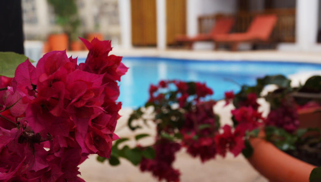 Atitlan Villas Agua Escondida Dış mekan fotoğraf